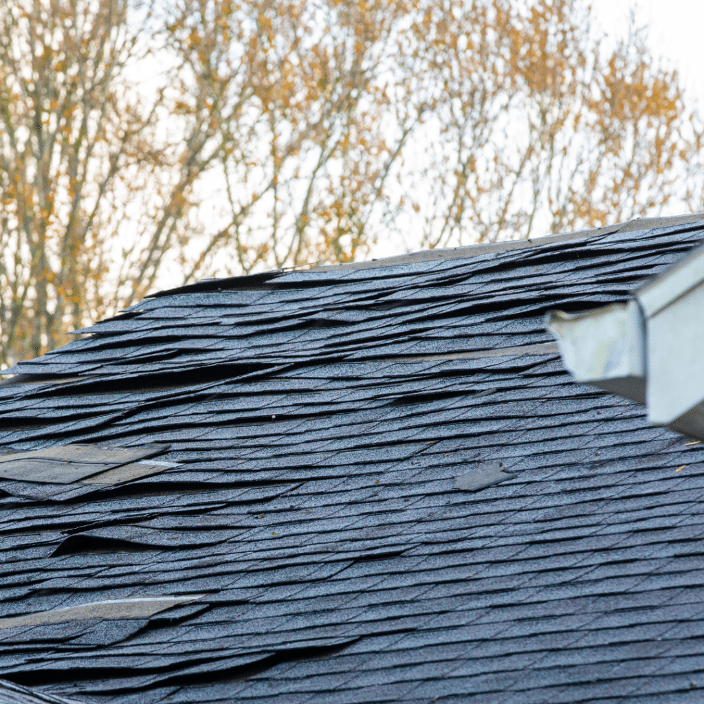 home storm roof damage Ottawa