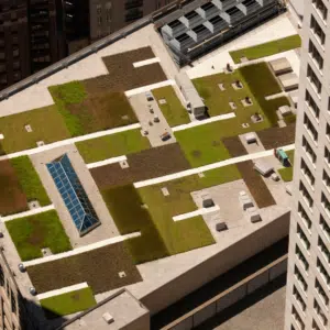 green roof Ottawa green roof Ottawa