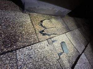 professional performing a roof inspection in Ottawa