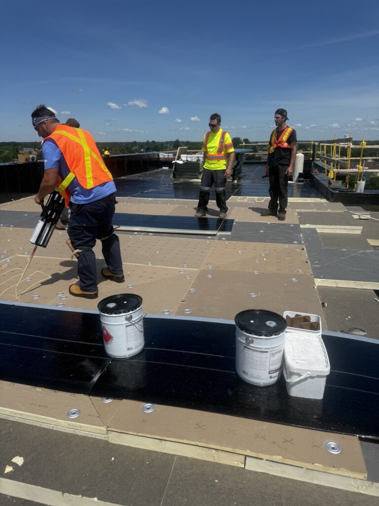 Crew applying Elastocol adhesive over iso board insulation on a flat roof
